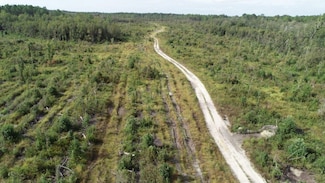 XX4 Sand Path Rd, Bonifay, FL 32425