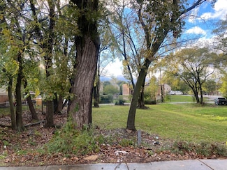 9012 S Mackinaw Ave, Chicago, IL 60617