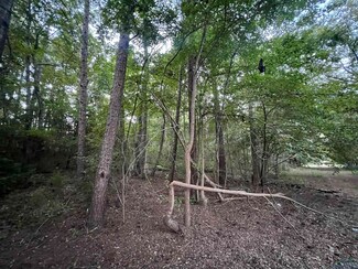 TBD Cactuswood Trail, Gilmer, TX 75645