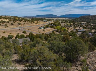 113 Promise Ln, Capitan, NM 88316