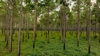 31 Georgia 41, Morgan, GA 39866