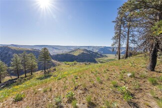 0 Washington Creek Rd Unit NWM1932858, Chelan, WA 98816