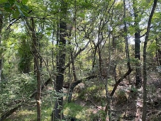 0 Tr 3 Cr 41514, Athens, TX 75751