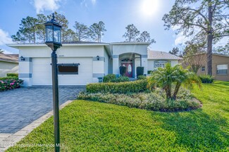 10045 Eagle Bend Dr, Hudson, FL 34667