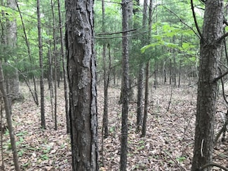 0 Bluff View Dr Unit RTC2865797, Dunlap, TN 37327