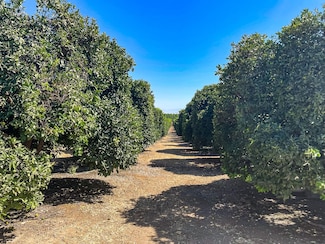 0 Famoso Rd Unit 18049309, Bakersfield, CA 93308