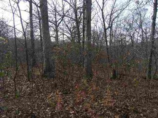 28 Black Partridge Run, Hopewell, IL 61565