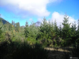 16 National Forest Rd Unit 52, Packwood, WA 98361