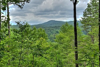 Lot 4 Hemptown Overlook, Morganton, GA 30560