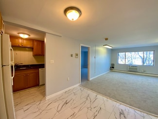 9 Ryder St Unit 19, Arlington, MA 02476