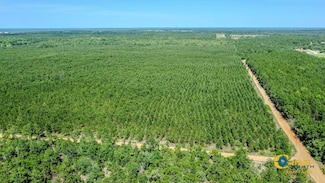 0 Miller Rd Unit 25510377, Mauk, GA 31058