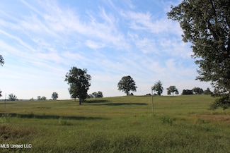 440 Myers Rd, Byhalia, MS 38611
