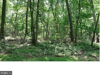 Lot #00022 Central Ave, Pittsgrove, NJ 08318