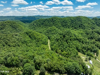 Tbd Lick Creek Dr, Fort Blackmore, VA 24250