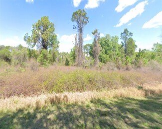 834 Paradise Blvd, Georgetown, FL 32139