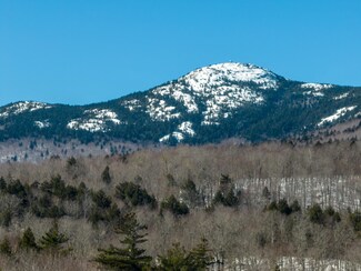 0 Welton Falls Rd Unit 4988090, Alexandria, NH 03222