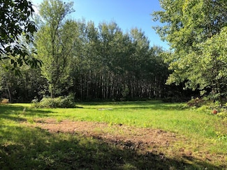 14287N Clement Rd, Saxon, WI 54559