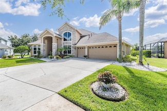 19119 Mandarin Grove Place, Tampa, FL 33647