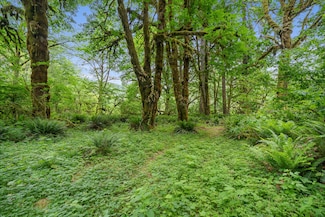 TL#01000 Trask River Rd, Tillamook, OR 97141