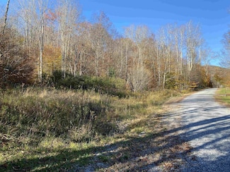 Lot 3 Northlake Development Dr, Davis, WV 26260