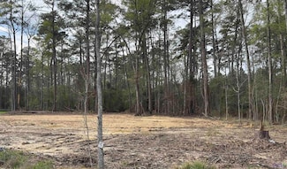Lot B3 Reinninger Rd, Denham Springs, LA 70706