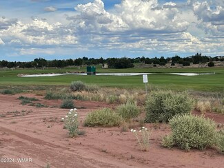 3.99 Acres S Porter Rd, Snowflake, AZ 85937