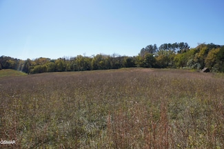 Par 152 Sulphur Springs Rd, Newport, TN 37821