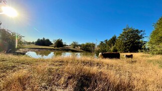 9201 Fm 2096 (+ -44 13 Acres), Franklin, TX 77856