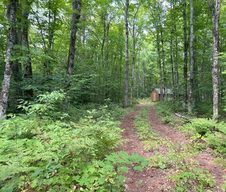 9100 Fordney Tower Rd, McMillan Township, MI 49868