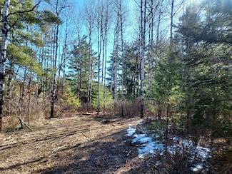0 Burrows Lake Rd, Little Rice, WI 54487