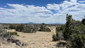 0 Warpath Rd Unit 23912666, Quemado, NM 87829