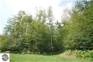 Lot 12 S Fox Valley Ln, Traverse City, MI 49684