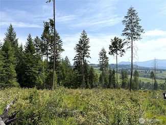 0 Lot 3 Rockabye Ln, Curlew, WA 99118