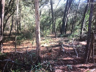 116 N Carolina Dr, Satsuma, FL 32189