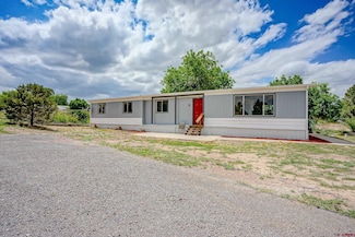 2765 Applewood Dr, Rye, CO 81069