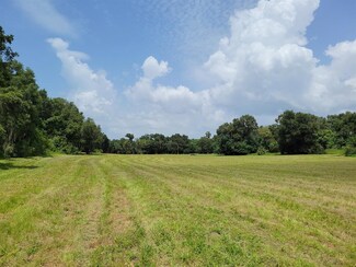 Lot #3 (SOA) NW 185th St, Reddick, FL 32686