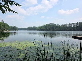 W2597 Hollister Rd E, White Lake, WI 54491