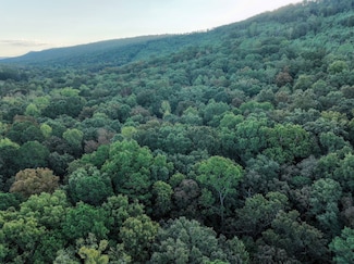 0 Sumatanga Rd, Steele, AL 35987