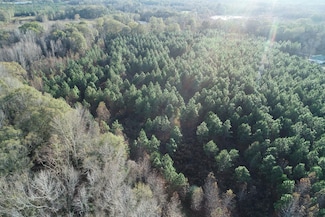 5733 County Road 30, Luverne, AL 36049