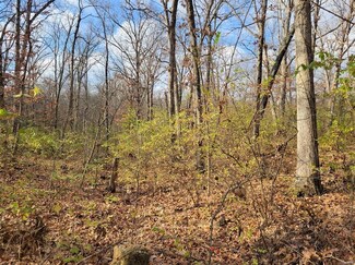 0 Beach Cir, Moscow Mills, MO 63362