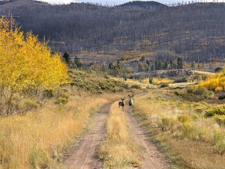 1129 Laker Ln, Fort Garland, CO 81133