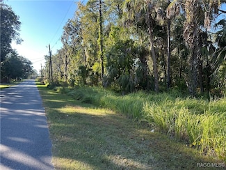 6291 W Arter St, Crystal River, FL 34429