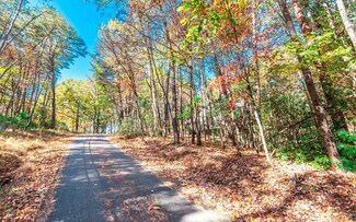 0.68 Valley View Rd, Ellijay, GA 30536