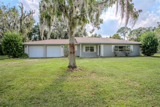 15836 Wilson Parrish Rd, Umatilla, FL 32784