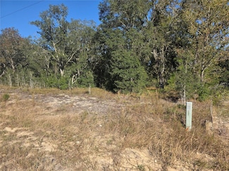 Lot 31 SW Viburnum Rd, Rainbow Lakes Estates, FL 34431