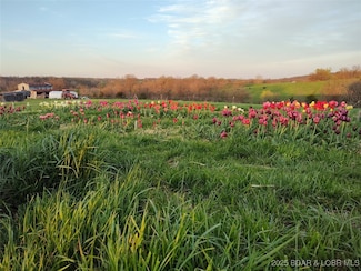 19606 Tuttle Rd, Out of Area (Lobr), MO 65025