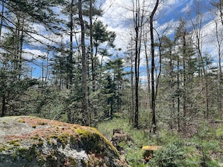 M10L28-F Randall Ln, Orland, ME 04472