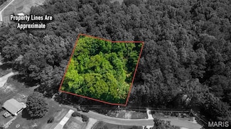 Lots B-47&45 Bella Vista Dr, Shawnee Township, MO 63755