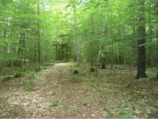 455 Cornish Turnpike, Newport, NH 03773