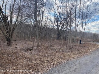 700 Block Rear North Valley Ave, Olyphant, PA 18447